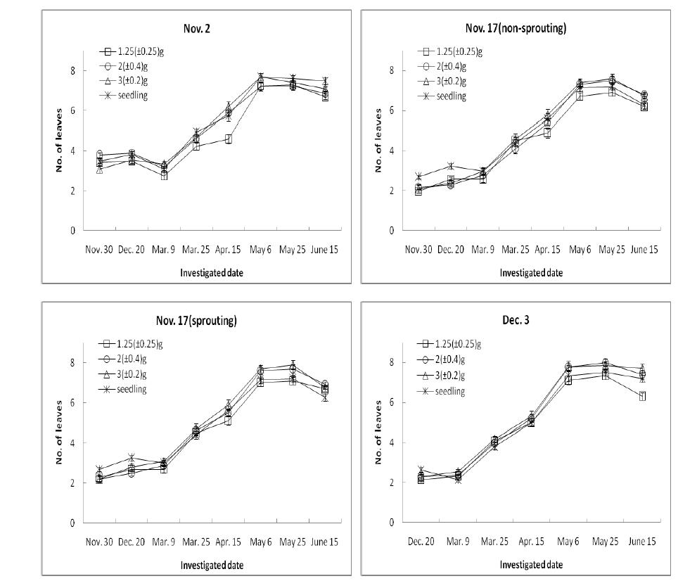 Seasonal changes of no. of leaves as influenced by different planting time and set size. The vertical bars indicate the standard erros of the mean values.