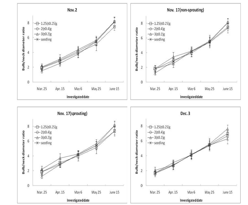 Seasonal changes of bulb/neck diameter ratio as influenced by different planting time and set size. The vertical bars indicate the standard erros of the mean values.