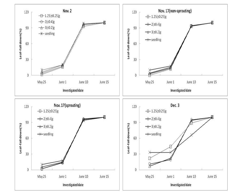 Seasonal changes of leaf-fall down as influenced by different planting time and set size. The vertical bars indicate the standard erros of the mean values.