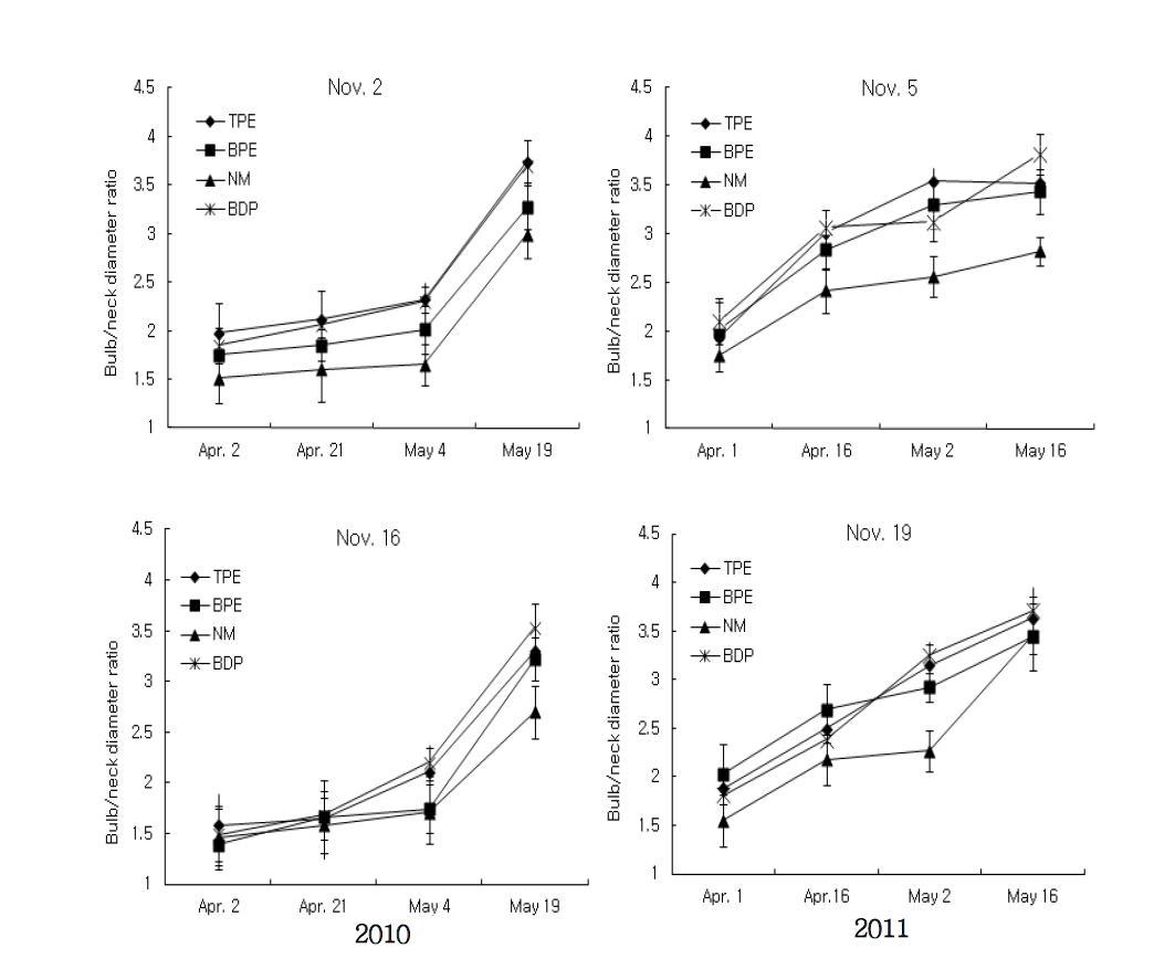 Seasonal changes of bulb/neck diameter ratio as influenced by different mulching material and planting time.