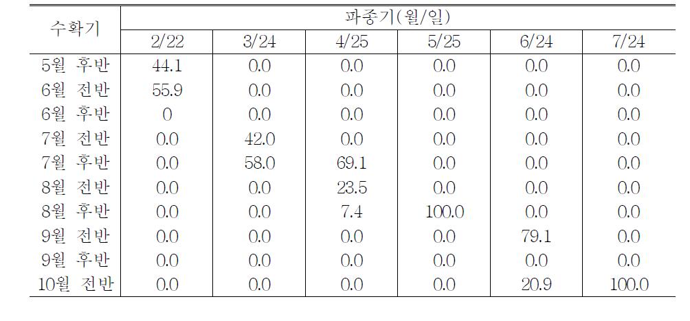 조생썬더볼 품종의 파종기별 자구수확시기별 비율(%)