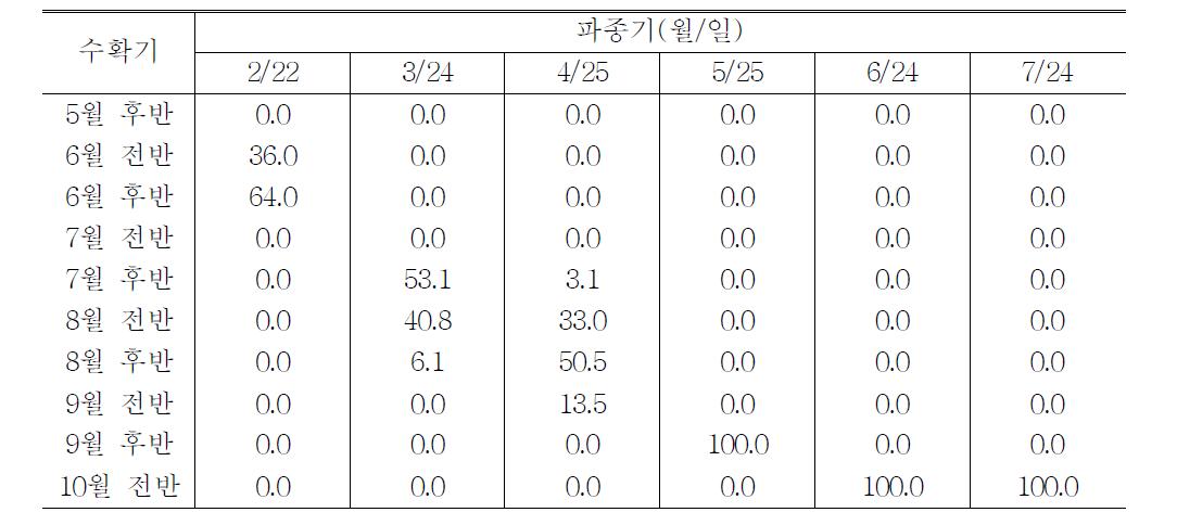 매직골드 품종의 파종기별 자구수확시기별 비율(%)