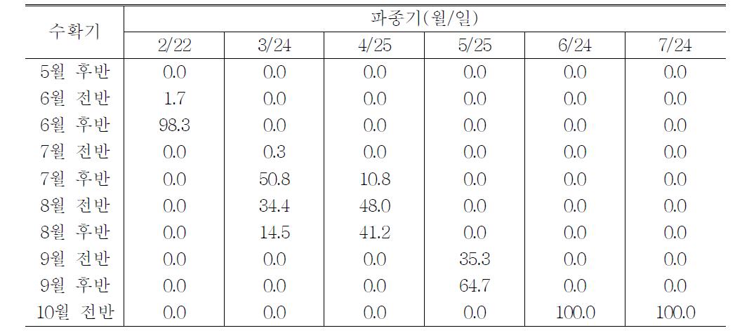 대지 품종의 파종기별 자구수확시기별 비율(%)