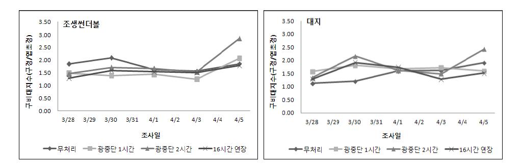 보광시간에 따른 품종별 구비대지수 변화(1월 예비실험)