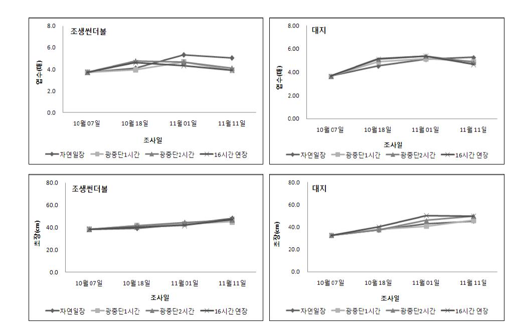 보광시간에 따른 품종별 엽수 및 초장 변화