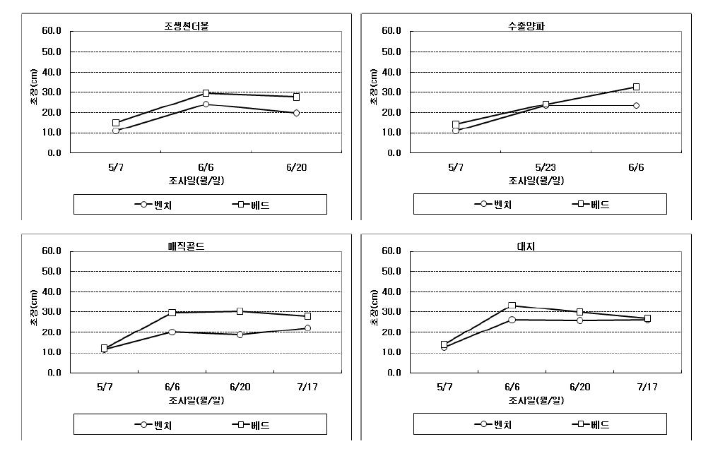 생산조건에 따른 품종별 초장의 변화