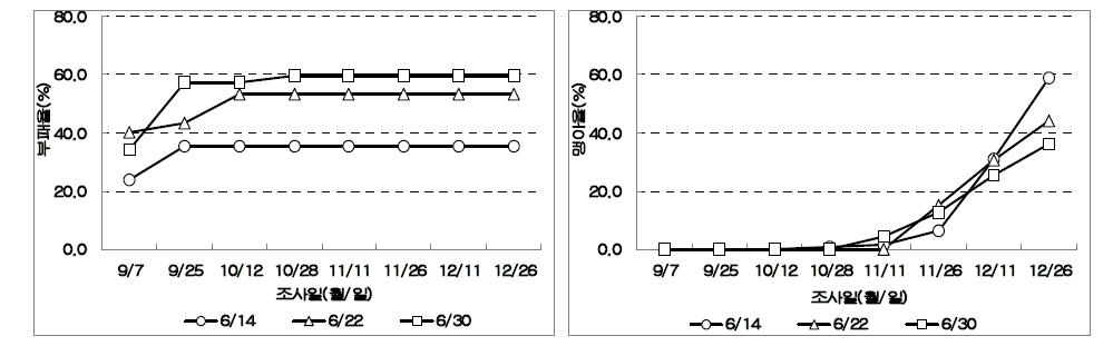 수확시기에 따른 부패 및 맹아율