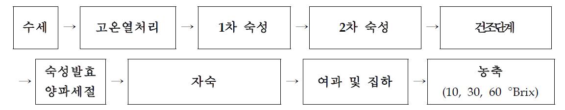 숙성발효양파 및 농축액 제조