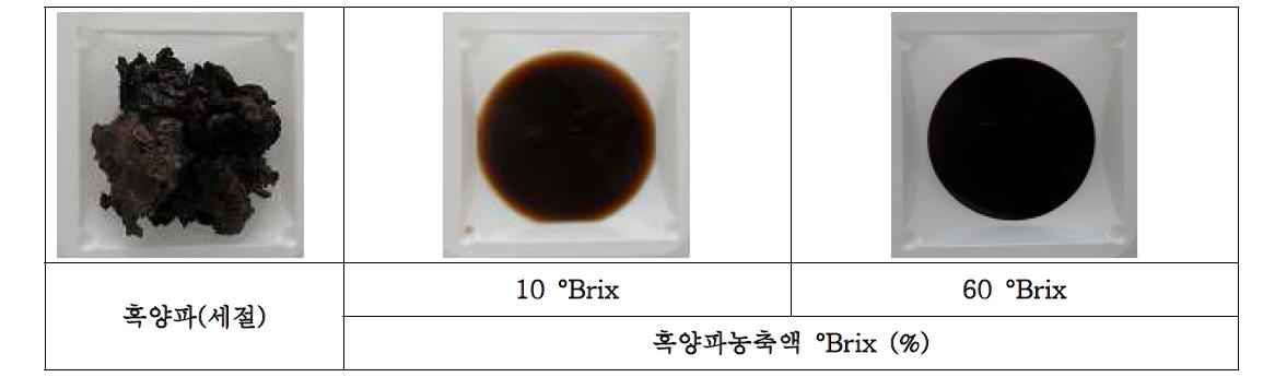 숙성발효양파 농축액 (10, 30, 60 °Brix) 제조