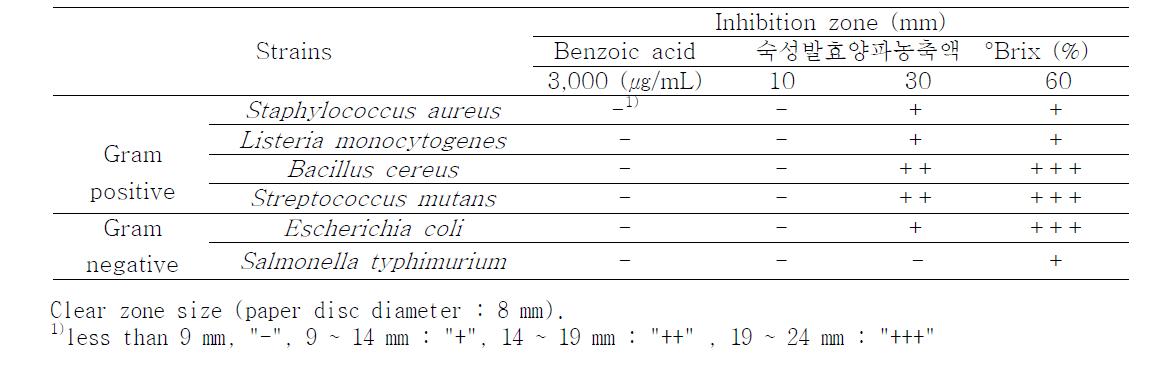 숙성발효양파농축액의 항균활성