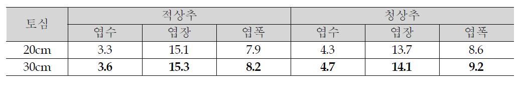 적상추, 청상추 토심 깊이별 생육조사