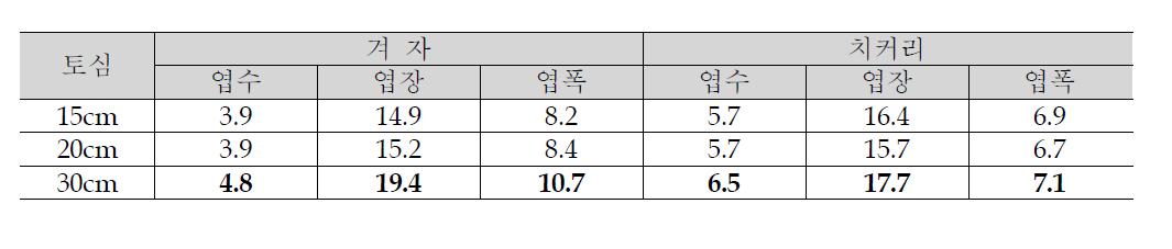 겨자, 치커리 토심 깊이별 생육조사