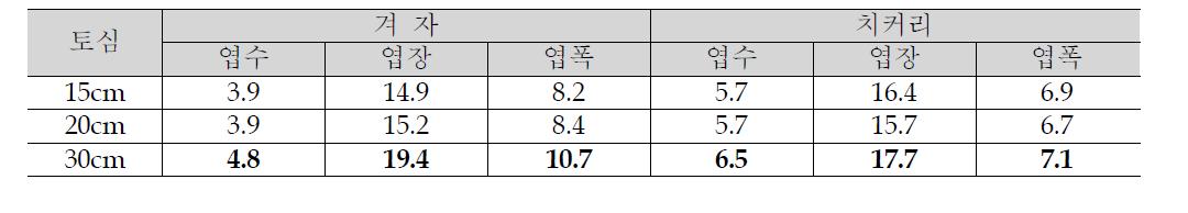 겨자, 치커리 토심 깊이별 생육조사