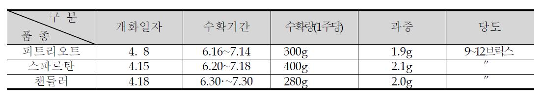 블루베리 생육현황