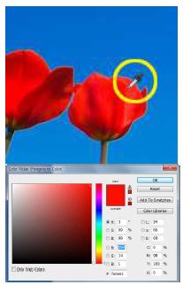 Adobe Photoshop CS5 Color Picker Tool을 사용하여 추출된 색채