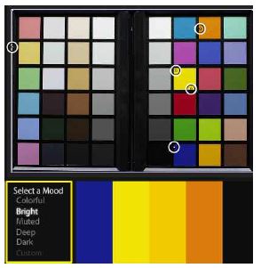 원본이미지(상), Kuler Website의 추출 색채모드 중 Bright 모드를 통해 추출된 5개의 색채