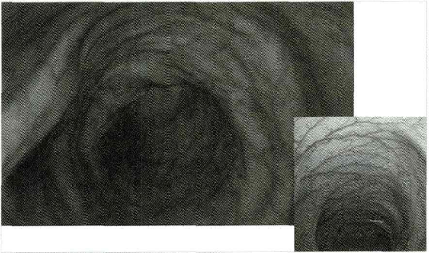 An image of the colon in simulator(left)and real