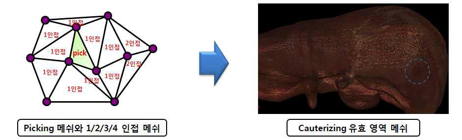 Cauterizing 유효 영역 메쉬 생성 과정