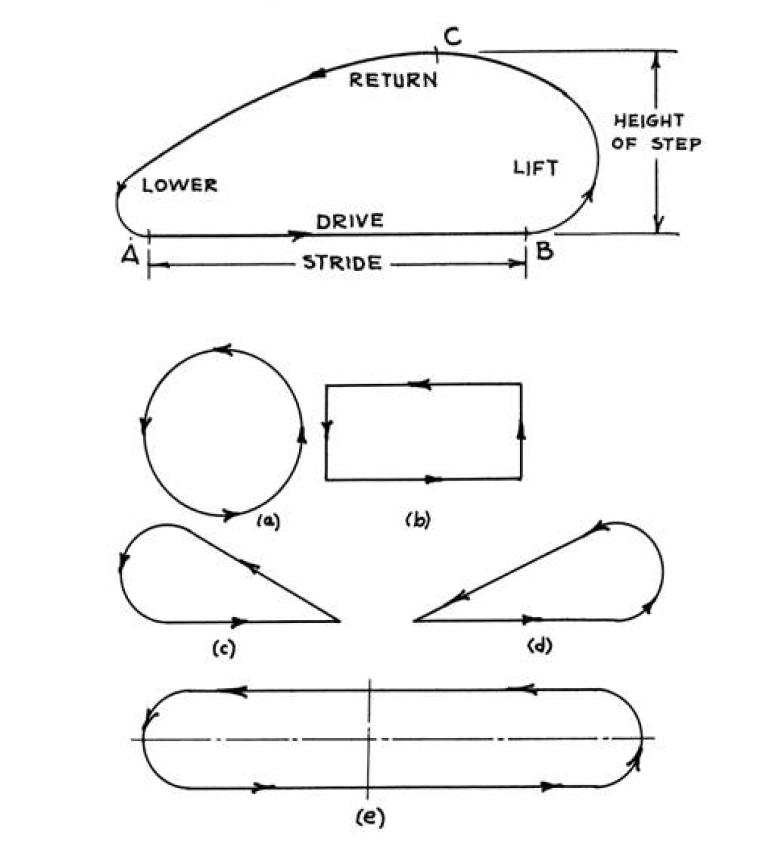 Foot locus