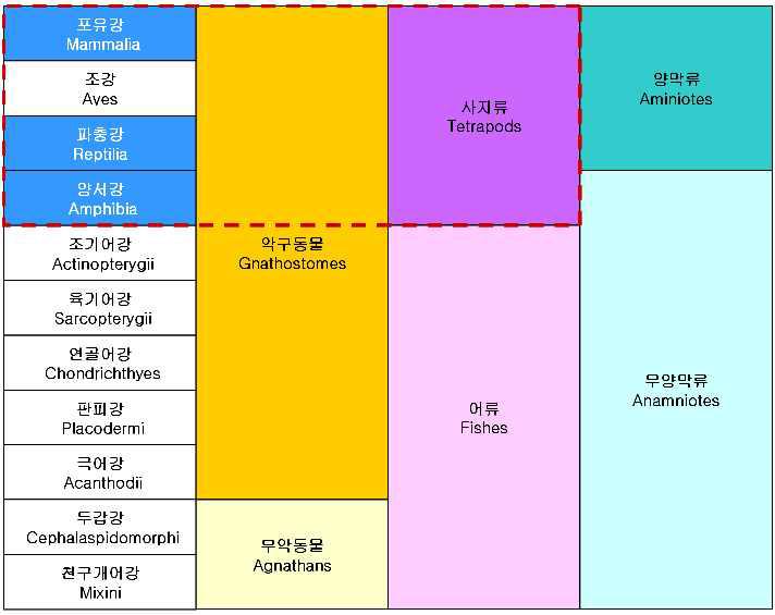 Categories of vertebrate animal