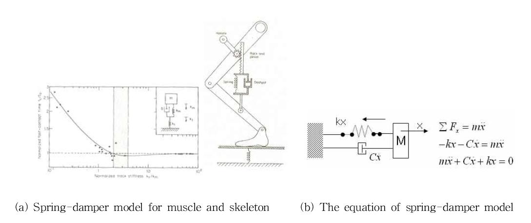 Spring-damper model system