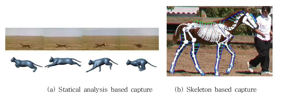 video based motion capture