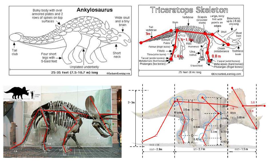 The analysis of dinosaur for size