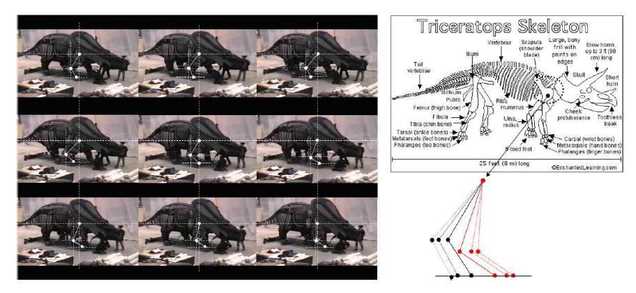 Gaits analysis of dinosaur of WWD