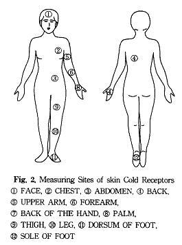 Measuring sites of skin cold receptors