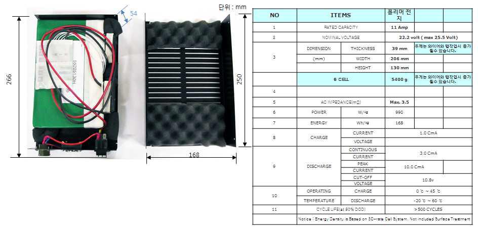 Power Module