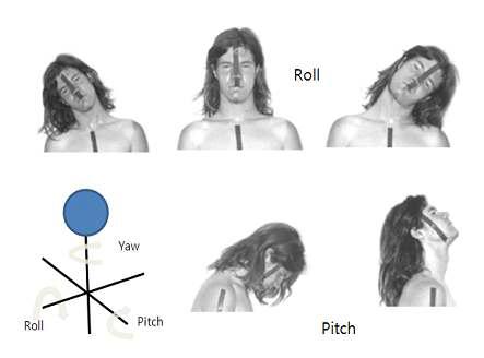 The analysis of human neck