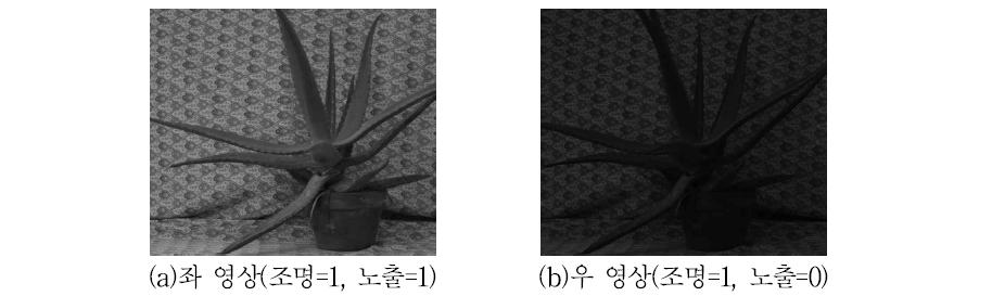 3D입체영상