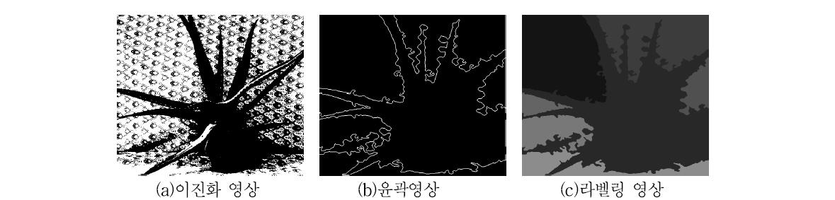 3D입체영상의 영역분할 결과