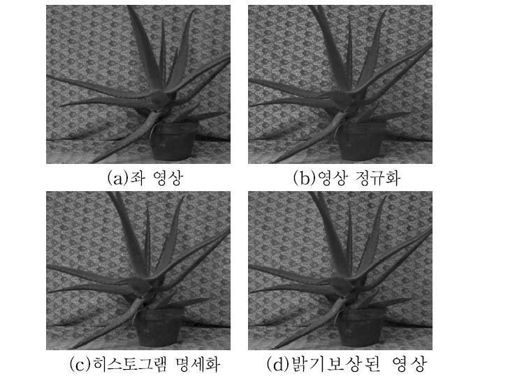 밝기 보상된 결과영상 비교