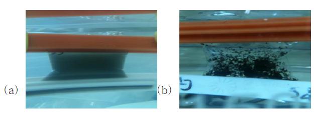 Image of (a) dispersed SWNT and (b) aggregated SWNT.