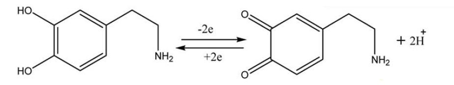 도파민의 산화 환원 반응 모식도
