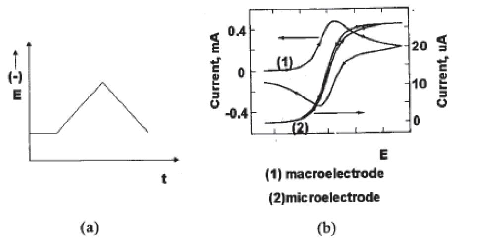 CV의 전압인가 파형(a)와 그에 따른 전극에서의 전류반응(b)