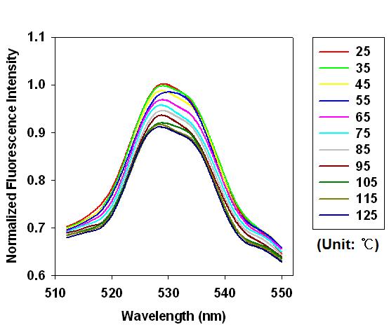 여기 파장 410nm에서 green 양자점의 온도변화에 따른 형광강도 변화.