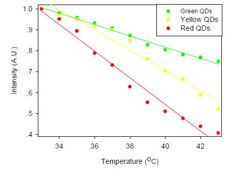 The peak fluorescence emission intensity of the alloyed QDs as a function of temperature.