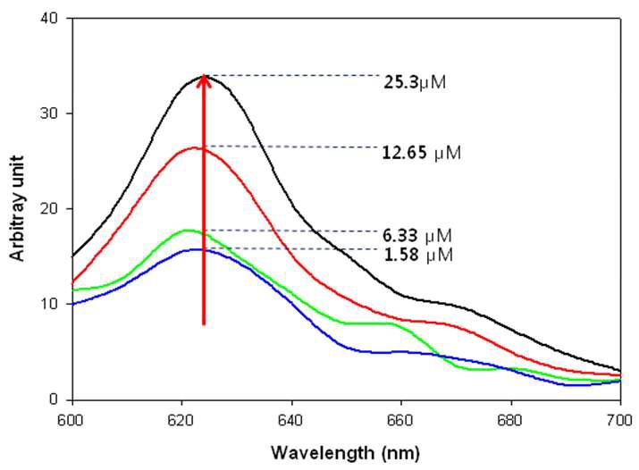 AF 594가 붙은 protein A의 농도변화에 따른 형광강도 측정.