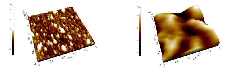 양자점을 고정안한(좌) 것과 고정한(우) well plate의 AFM이미지.