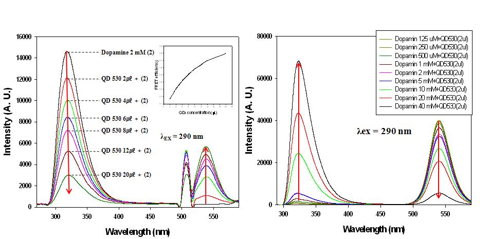 용액상에서의 도파민과 양자점의 형광 스펙트라.