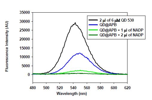 Fluorescence quenching of QDs via excited electron transfer from QD to NADP+