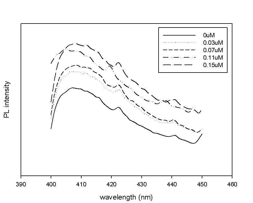 실리콘 웨이퍼 위에 입혀진 ferritin-ZnSe의 GABA/glutamic acid 혼합물의 GABA 농도별 PL 스펙트럼.