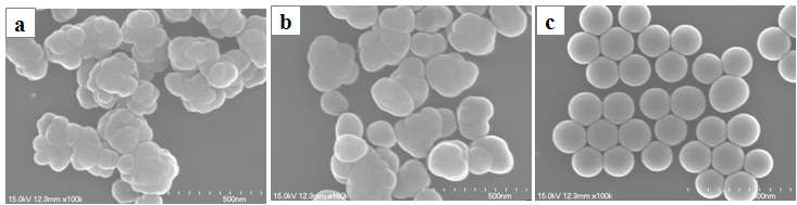 SEM images of magnetic silica particles