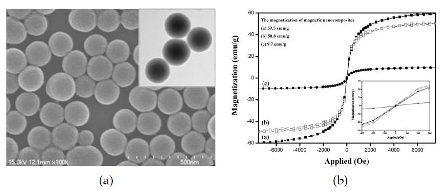 (a) SEM images of core-shell Fe3O4@SiO2 (including inset of TEM