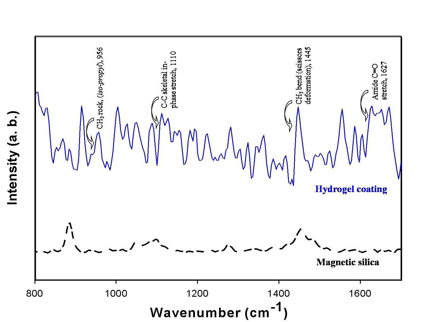 Raman spectrum of core-shell magnetic nanoparticles (MNPs) and hydrogel-encapsulated MNPs (H-MNPs) prepared at R=0.174.