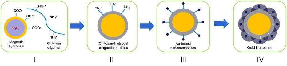 Schematic diagram for the fabrication of magentite-hydrogel gold nanoshells.