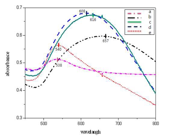 UV spectra of COS-GNPs nanocomposite.