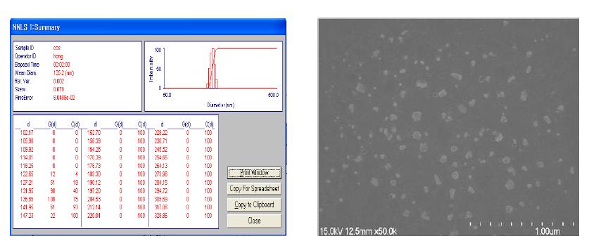 The DLS size analysis and SEM image of chitosan nanoparticles.